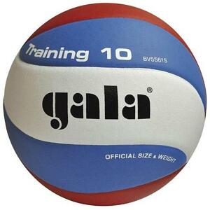 Gala BV5561S Training 10 volejbalový míč - č. 5