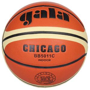Gala Chicago BB5011S basketbalový míč - č. 5