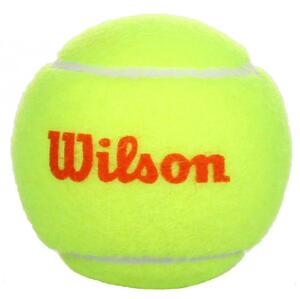 Wilson Starter Orange tenisové míče - 1 ks