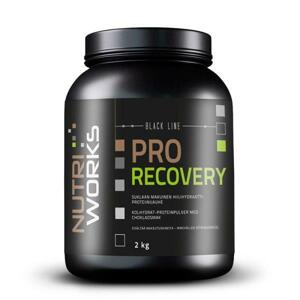 NutriWorks Pro Recovery 2000g - malina