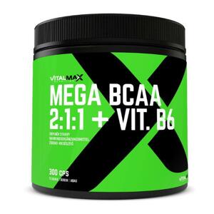 Vitalmax Mega BCAA 2:1:1 + B6 300 kapslí