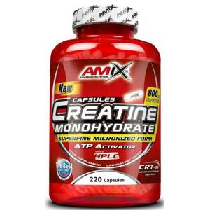 Amix Creatine Monohydrate 800 220 tablet