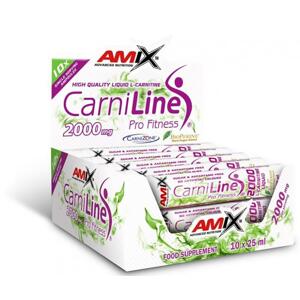 Amix CarniLine Pro Fitness + Bioperine 25 ml - pomeranč