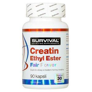 Survival Creatine Ethyl Ester Fair Power 90 tablet