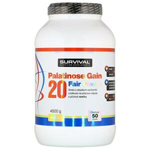 Survival Palatinose Gain 20 Fair Power 4500 g - čokoláda