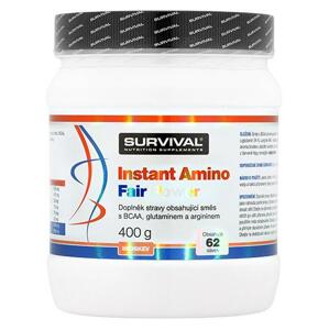 Survival Instant amino 400 g - pomeranč