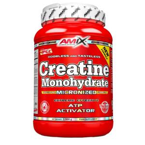 Amix Creatine monohydrate 1000 g
