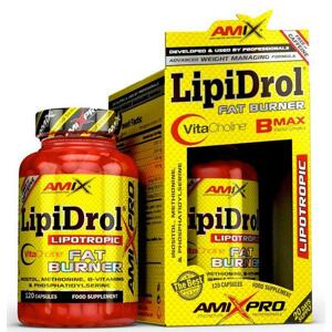 Amix LipiDrol 120 tablet
