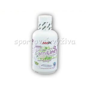 Amix CarniLine Pro Fitness + Bioperine 480ml - Fresh lime (dostupnost 7 dní)
