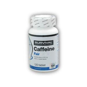 Survival Caffeine Fair Power 120 tablet