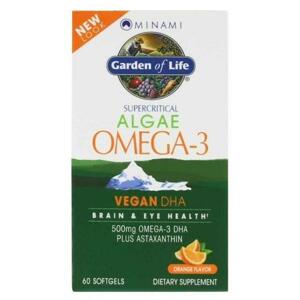 Garden of Life Minami Nutrition Omega - 3 Vegan DHA 60 kapslí - pomeranč