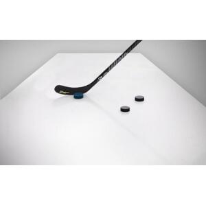 Titan hokejová střelecká deska 300 x 150 x 0,2 cm