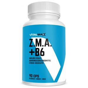 Vitalmax ZMA + B6 90 kapslí