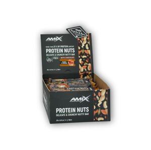 Amix 25x Protein Nuts Crunchy 40g MIX