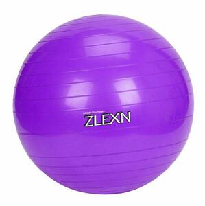 Sedco Gymnastický míč Yoga Ball 65 cm - Růžová