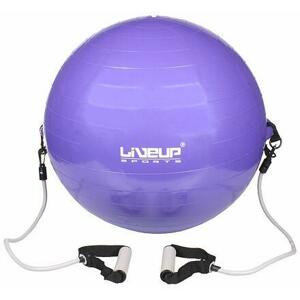 LiveUp Flex LS3227 gymball s expandery fialová