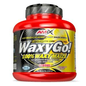 Amix Nutrition Waxy Go! 2000g - Natural