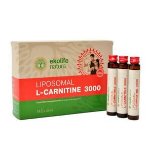 Ekolife Natura Liposomal L-Carnitine 3000mg 350ml - Citron
