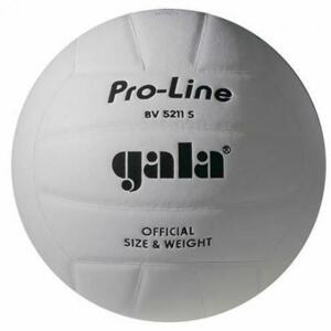 Gala Míč volejbal PRO-LINE BV5211S bílý velikost 5