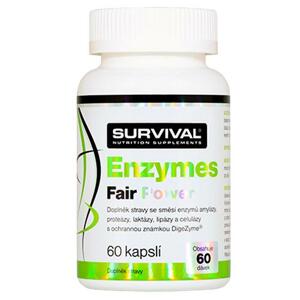 Survival Enzymes Fair Power - trávicí enzymy 60 kapslí