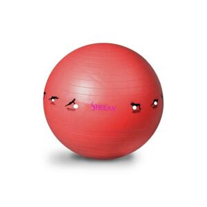 Sedco Gymnastický míč SHULAN YOGA BALL 65 cm - fialová
