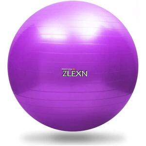 Sedco Gymnastický míč ZLEXN Yoga Ball 65 cm - modrá