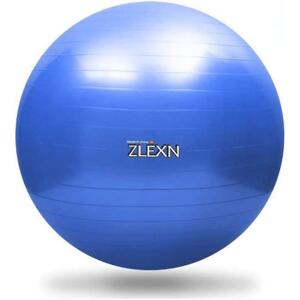 Sedco Gymnastický míč ZLEXN Yoga Ball 55 cm - modrá