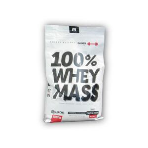 Hi Tec Nutrition BS Blade 100% Whey Mass Gainer 6000g - Kokos
