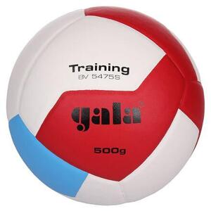 Gala BV5475S Training 500 g volejbalový míč - č. 5